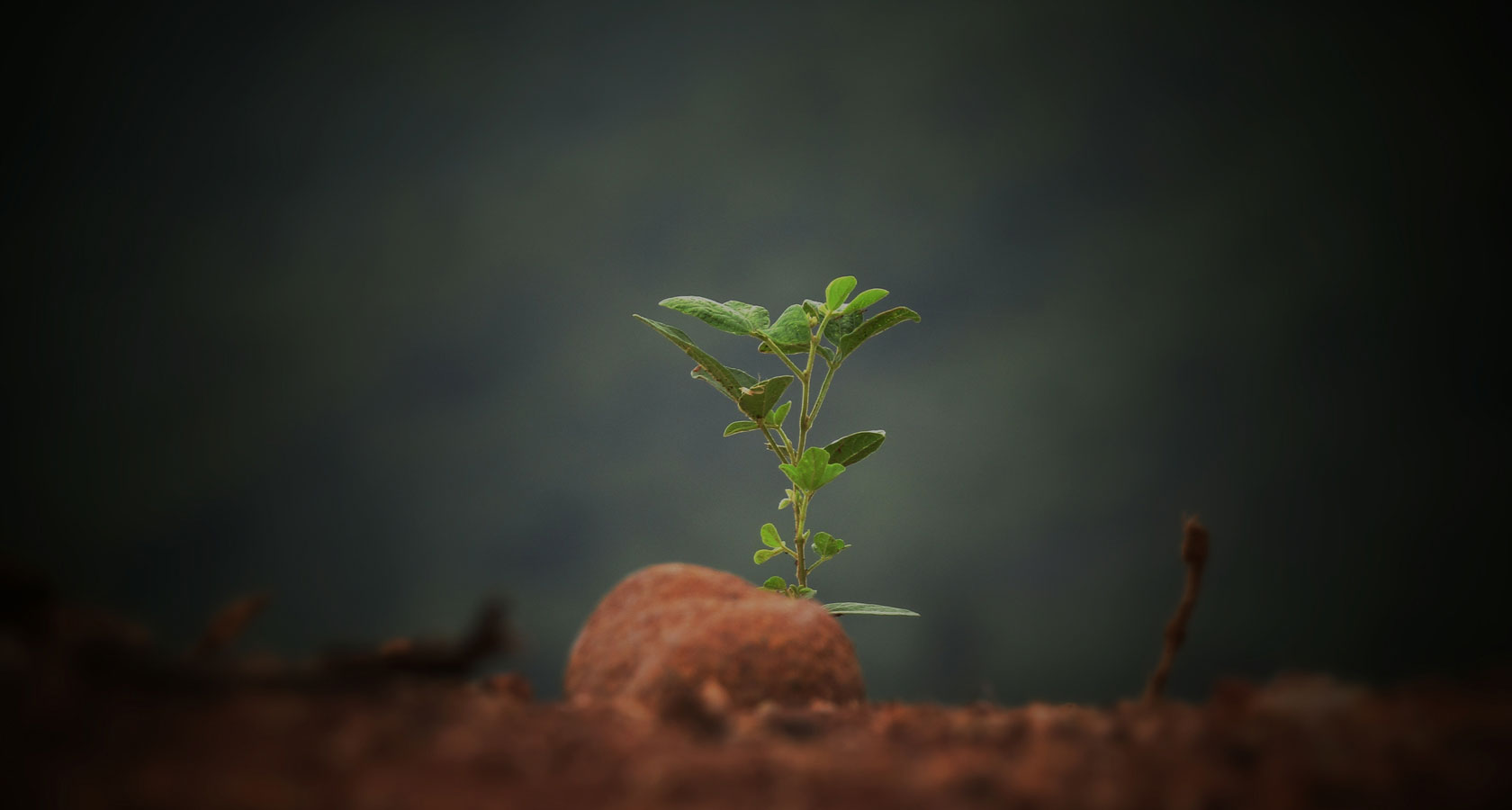 mg冰球突破·豪华版(试玩)官网首页